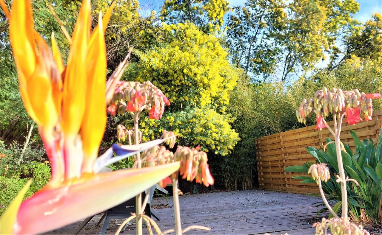 Hotel Les Jardins De Bormes, Sauna & Jacuzzi エクステリア 写真