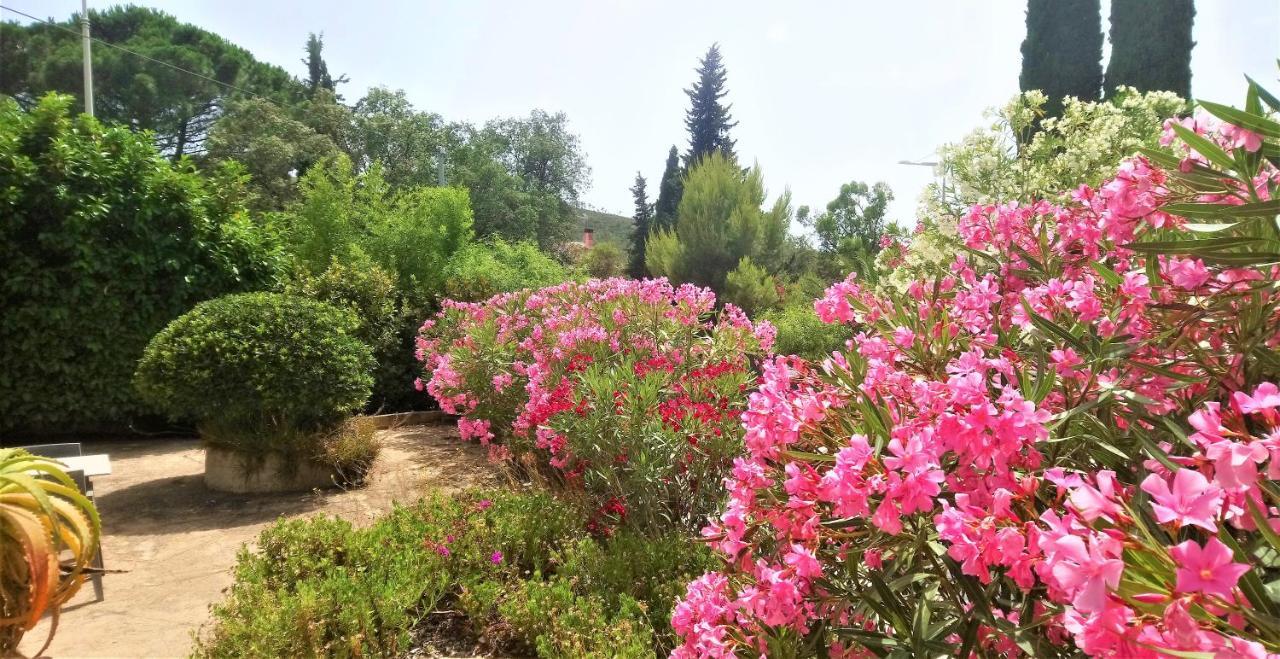 Hotel Les Jardins De Bormes, Sauna & Jacuzzi エクステリア 写真